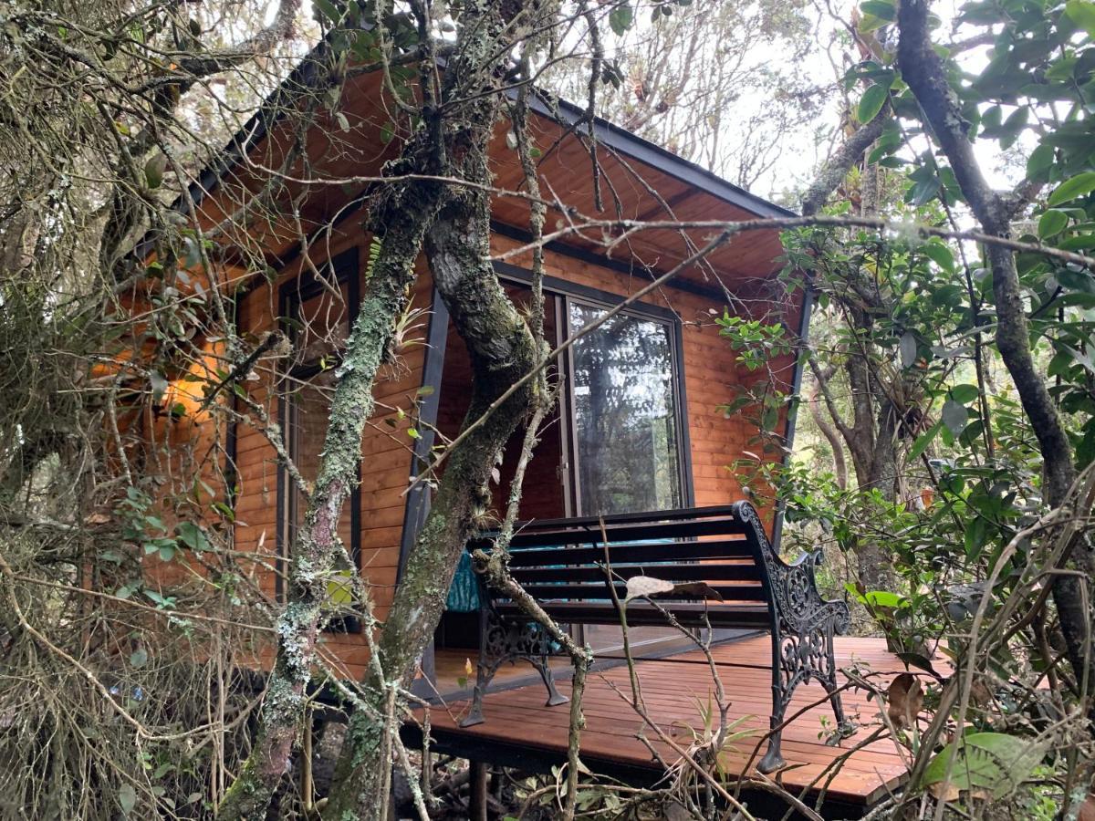 Cogua Mirador Bosque Gran Torino Neusa מראה חיצוני תמונה