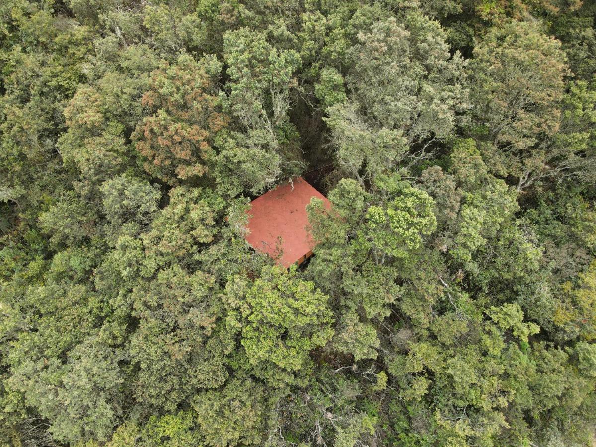 Cogua Mirador Bosque Gran Torino Neusa מראה חיצוני תמונה